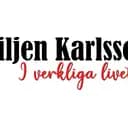 iverkligalivet